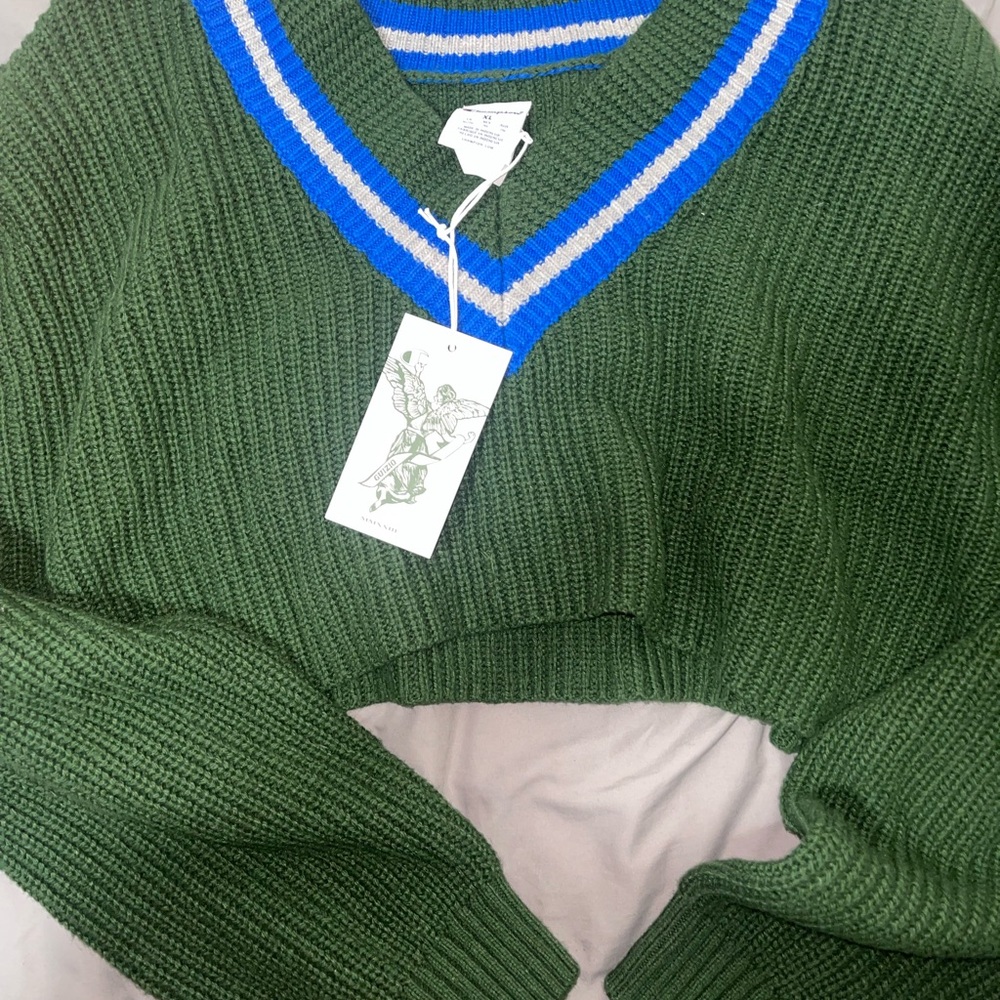 Danielle Guizio x Champion Green and Blue V-Neck Sweater